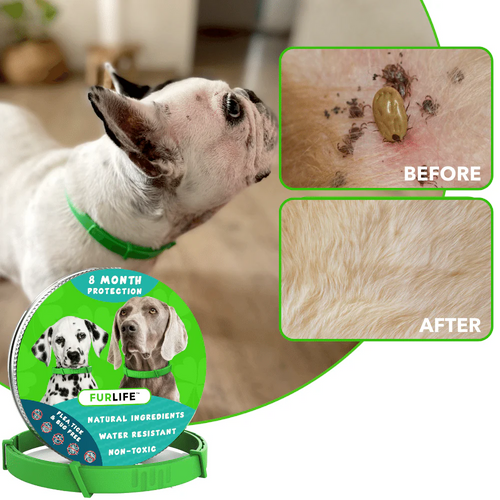 Plotole™8 Months Flea and Tick Free
